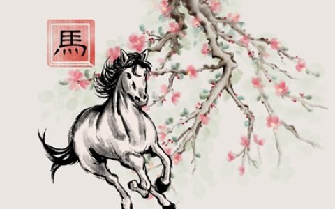 牛马相害到底有多严重 生肖冲突中的微妙关系