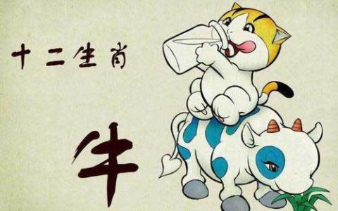 1985属什么生肖 今年多大了
