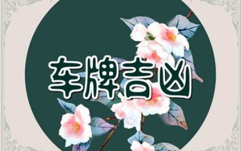 车牌号码怎么选才好 车牌号码数字吉凶判断