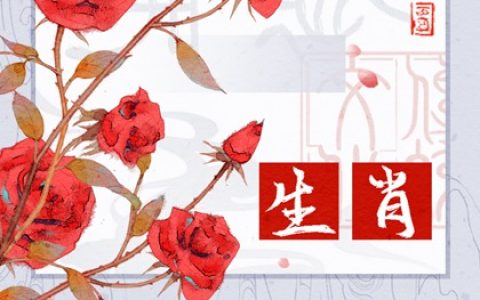 哪个生肖最傻最天真，脑子转不过弯来