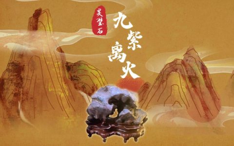 九紫离火运20年最旺的属相