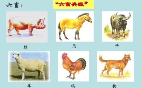 五谷丰登六畜兴旺是什么生肖