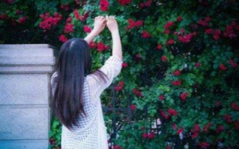 白羊女说分手再见的原因
