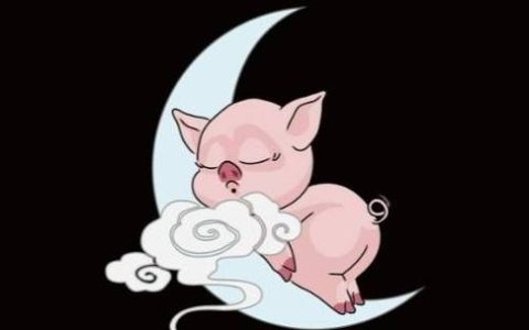 晚上生肖是什么生肖，十二生肖晚上的生肖有哪些？