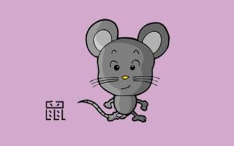 1996属什么生肖 今年多大了