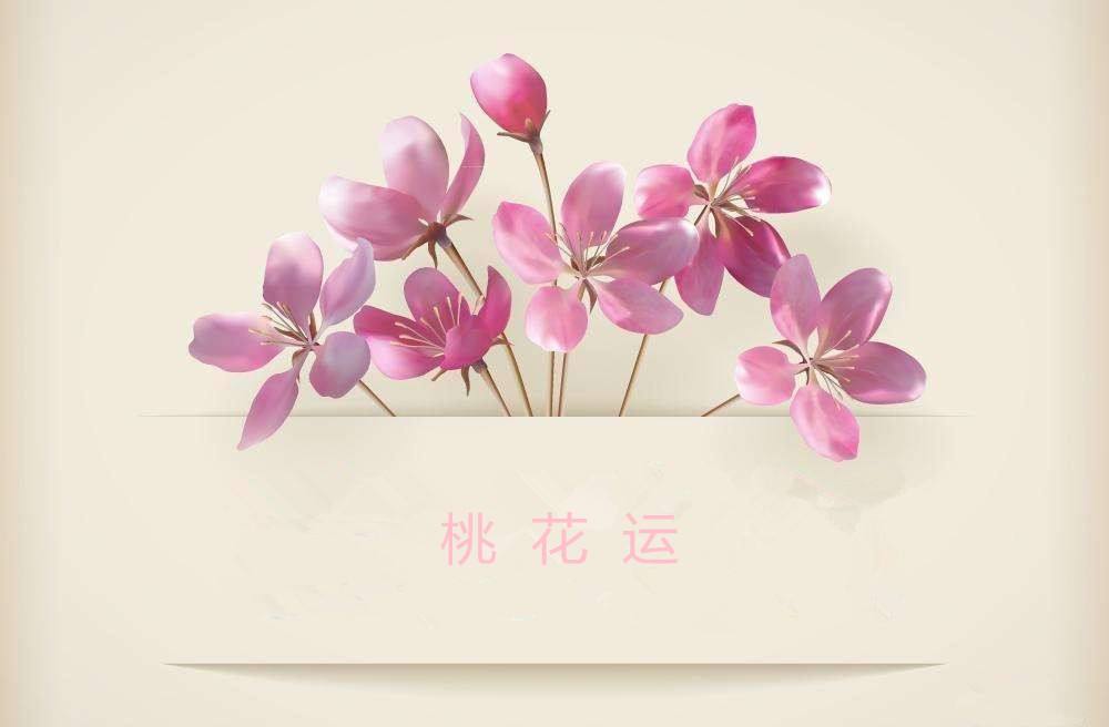 在居室风水中提升桃花运势的方法