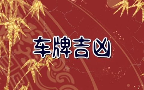 属马人最佳车牌号末尾号 车牌靓号推荐