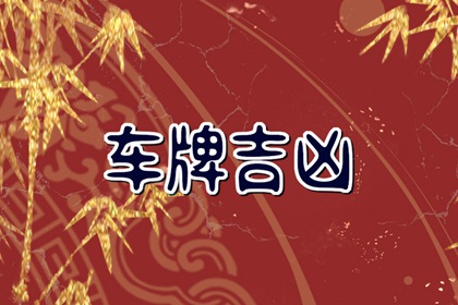 属马人最佳车牌号末尾号 车牌靓号推荐