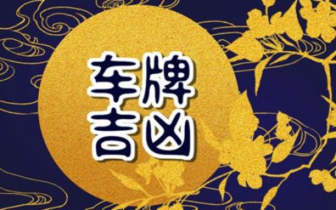 车牌号尾数7与9谁好 利财运的车牌号码