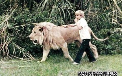 测试你会成为恐怖分子中的一员吗
