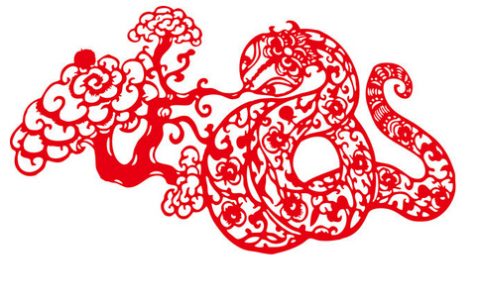 2013属什么生肖 今年多大了