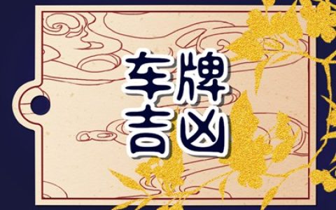 63车牌号的寓意好不好 含义是什么