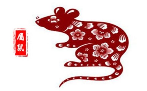 1972年属什么生肖 今年多大了