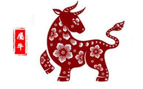 1973年属什么生肖 今年多大了