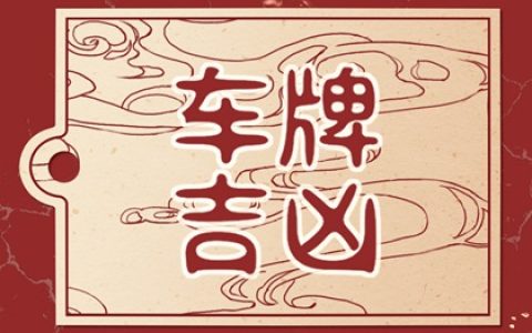 车牌选了个220好吗 220寓意解读