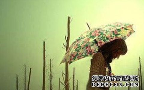 测测你最输不起什么