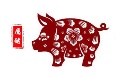 1983属什么生肖 今年多大了