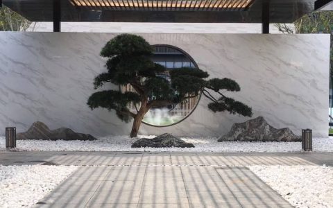 院子里种葡萄树好吗风水好吗