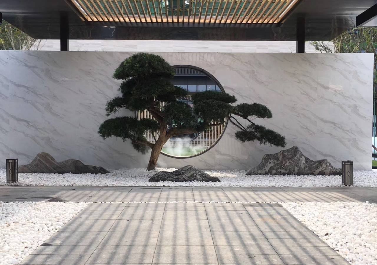 院子里种葡萄树好吗风水好吗