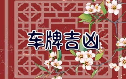富豪车牌号为什么有3 数字3的含义