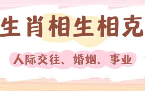 十二生肖相生相克表查询