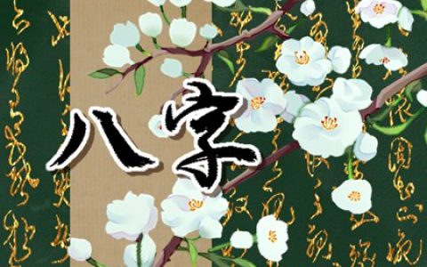 车牌号码尾数为5最好 吉祥车牌号码存在意义