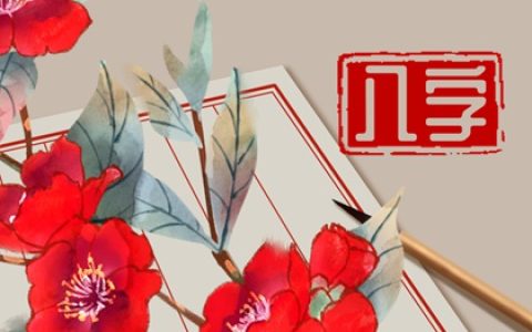 车牌都是偶数好不好 什么样的车牌有福气