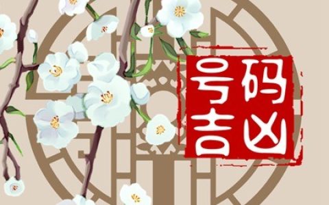 号码最后是天医好还是延年好?盘点五行相生的手机靓号!