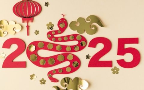 2025蛇年五行属什么命