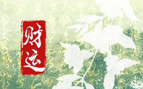 天医数字能量学 手机号不能有两个以上天医？