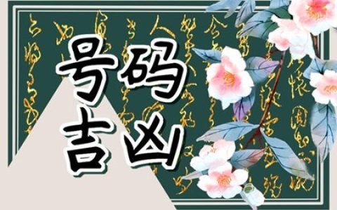 手机号绝命加天医&nbsp;&nbsp;电话号码的绝命数字