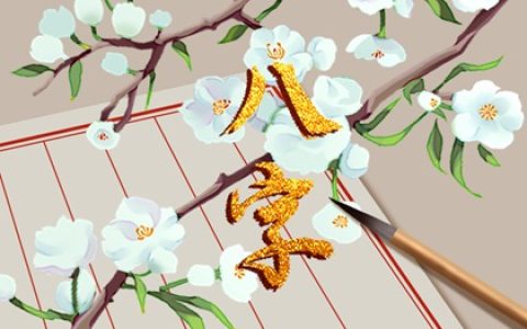 车牌号都是双数好吗 车牌全是双数需要化解吗