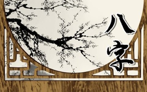 车牌号246全双数好吗 促进财运发展的数字
