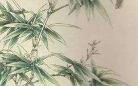 手机数字磁场测试 天医磁场旺桃花的手机号码