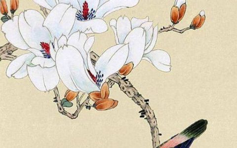 数字磁场解析手机号码 天医磁场发大财的手机尾号