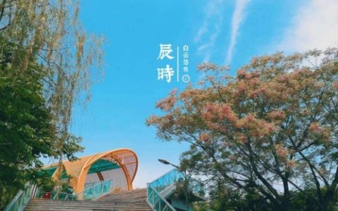 辰时最忌讳三个属相