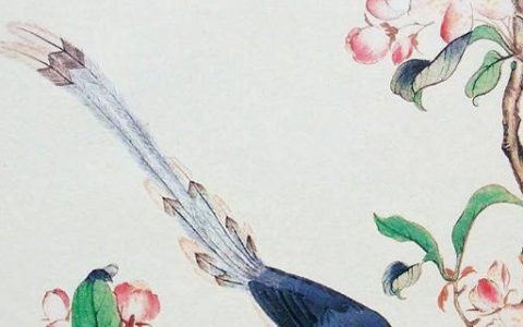 天医加禍害磁场组合 吉祥富贵的手机号码盘点