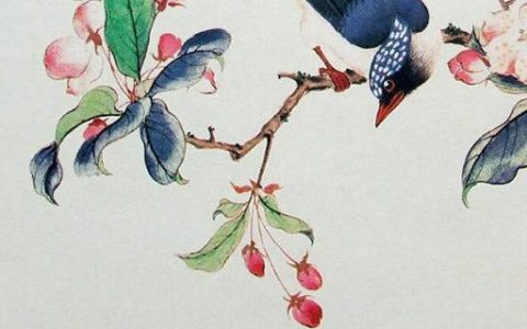 手机号没有天医象征什么 解析好运大吉的尾号数组