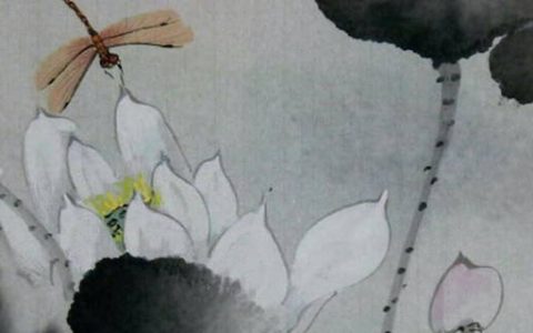 一个手机号三个天医 大吉大利的手机尾数号组