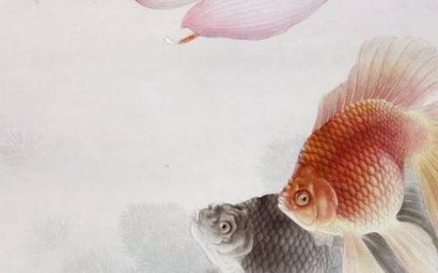 不能有两个以上天医 富贵长久的手机尾号宝典