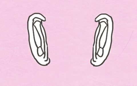 男女面部痣相图解 眉头痣交际广泛