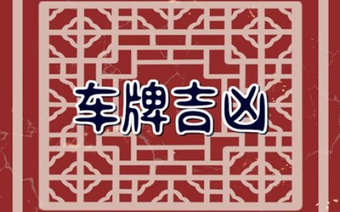 2023年最旺的车号 选择最旺车牌号的方法