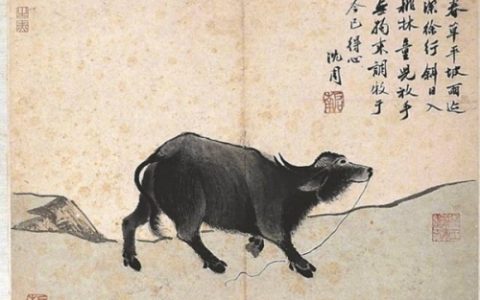 丑时属什么生肖