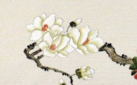 天医磁场的号码数字有哪些 财运亨通顺遂的手机数组
