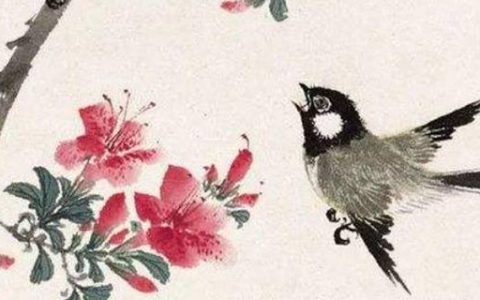 女人天医数字号码磁场 旺桃花走好运的手机靓号