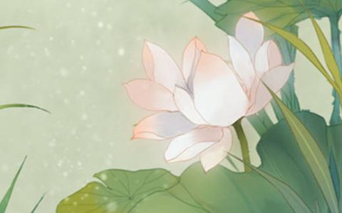 天医数字号码磁场结尾感情 独特带财的手机靓号