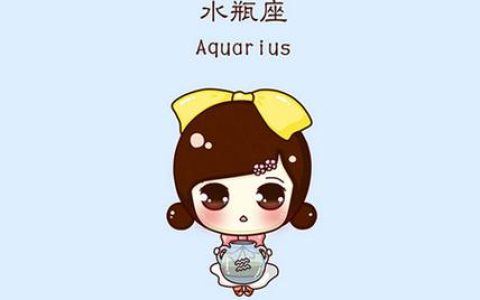 水瓶座2024年的全年运势 2024年水瓶座全年运势详解