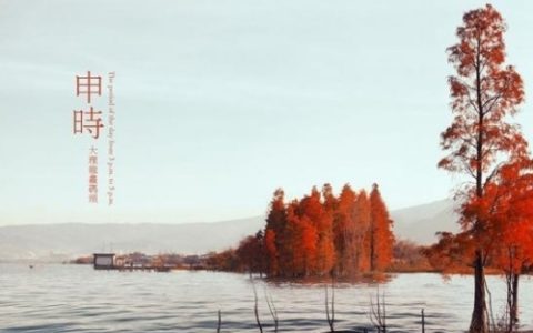 申时最厉害三个属相