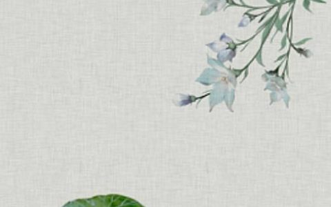 手机号码数字磁场天医结尾 转运旺财的手机尾号