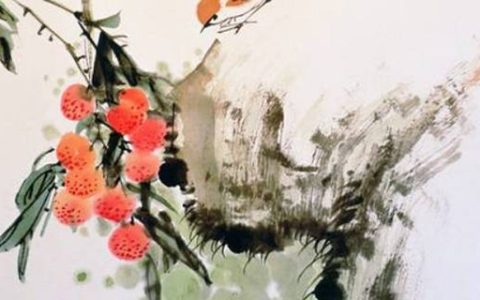 数字能量学天医加延年号码 好记顺口的尾号数组磁场